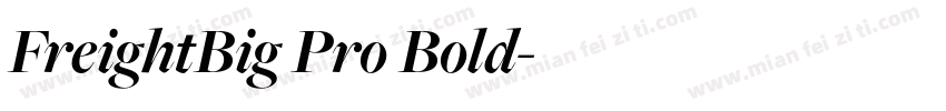 FreightBig Pro Bold字体转换
